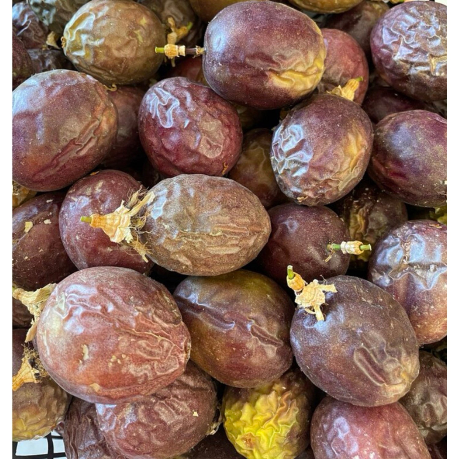 1 Kg Tam Olgunlaşmış Çarkıfelek Meyvesi